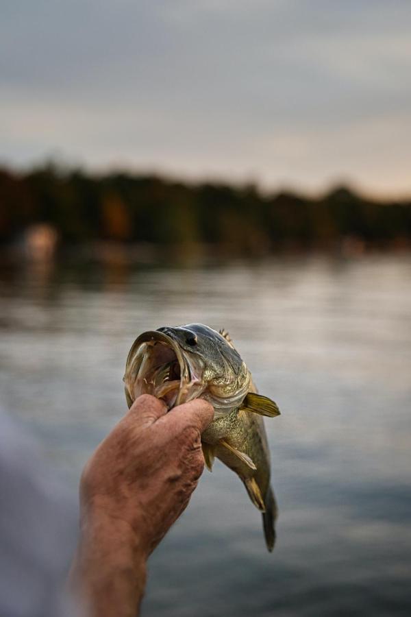 Bass Country Resort